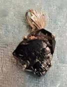 925 Sterling Silver Shungite Pendant