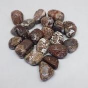 Stromatolite Tumbled Stones (Northern Territory)