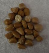 Yellow Jasper Tumbled Stones